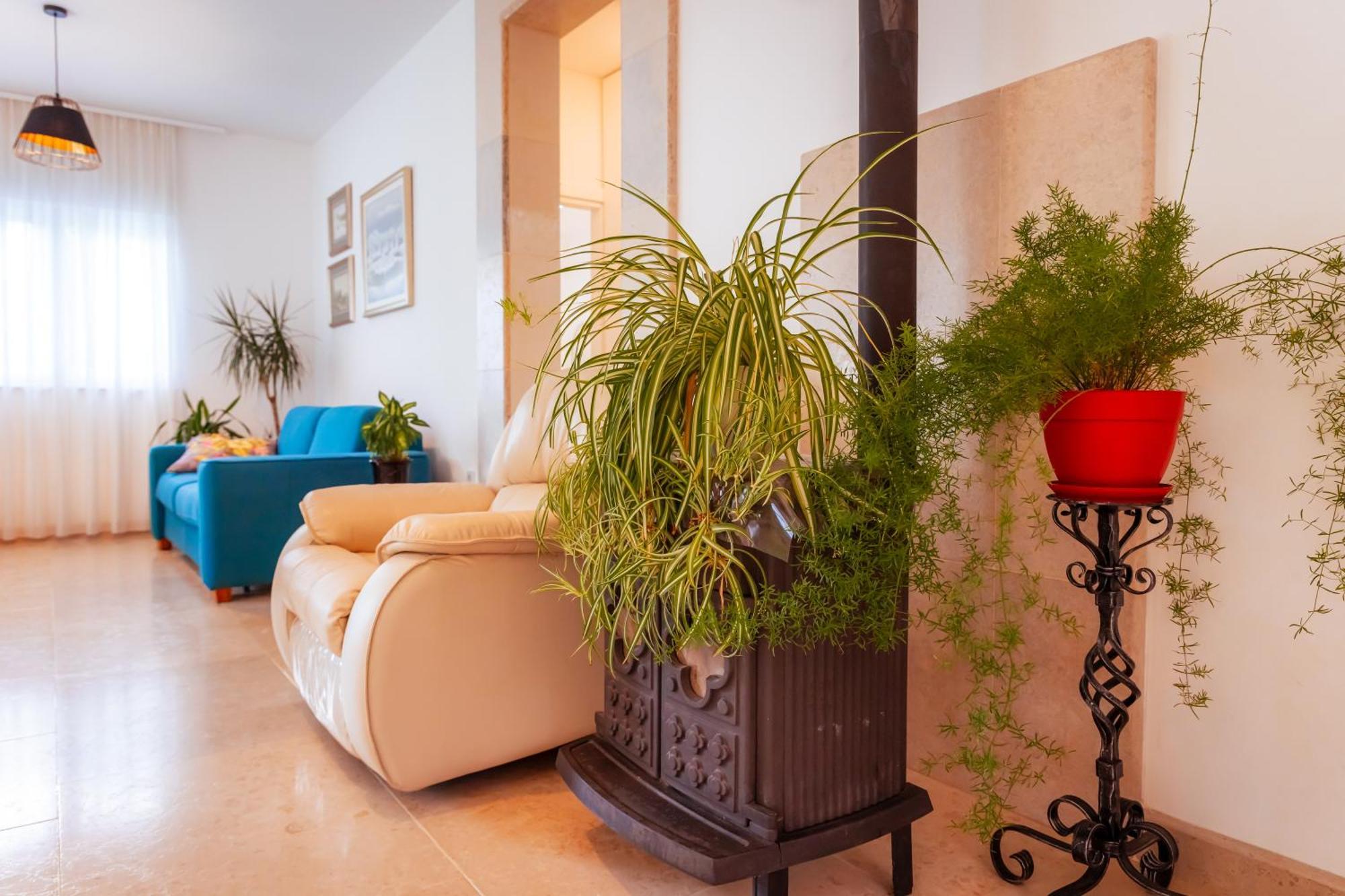 אומיסאליי Villa Nevera מראה חיצוני תמונה